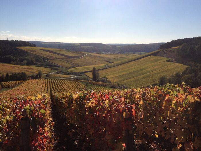 Champagne Jean Josselin.jpg Champagne Jean Josselin Champagne Jean Josselin.jpg Champagne Jean Josselin