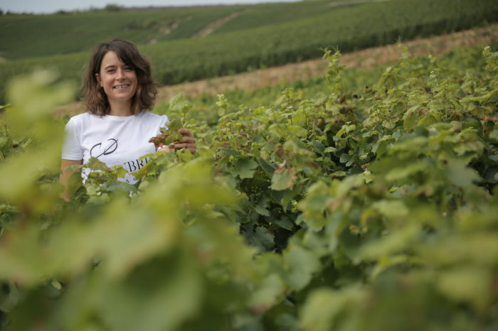 Champagne Cottet-Dubreuil.jpg Champagne Cottet-Dubreuil