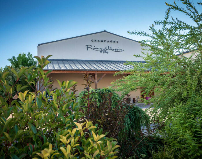 Champagne Rémy Massin.jpg Champagne Rémy Massin