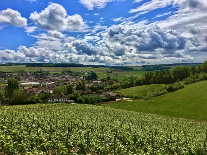 Champagne Rémy Massin.jpg Champagne Rémy Massin