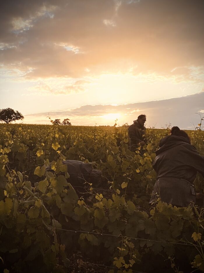 Champagne Jean Josselin.jpg Champagne Jean Josselin Champagne Jean Josselin.jpg Champagne Jean Josselin