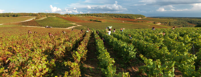 Champagne Jean Josselin.jpg Champagne Jean Josselin Champagne Jean Josselin.jpg Champagne Jean Josselin