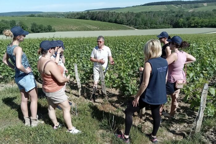 Champagne Marcel Vézien.jpg Champagne Marcel Vézien
