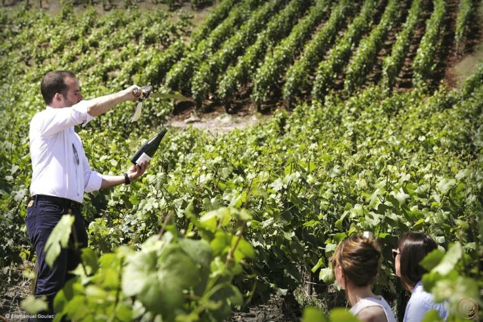 Sabrage vigne © Emmanuel goulet.jpg © Emmanuel Goulet Sabrage vigne © Emmanuel goulet.jpg © Emmanuel Goulet