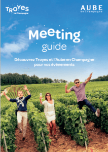 Meeting Guide